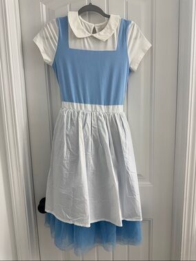 Taylor Joelle Provincial Belle Dress